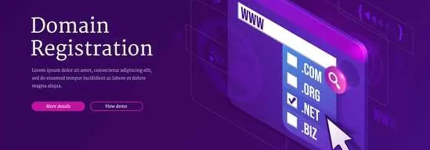 도메인 배경이미지